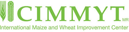 International Maize and Wheat Improvement Center